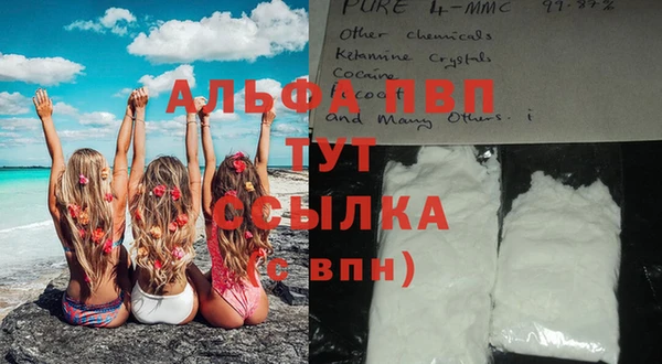винт Няндома