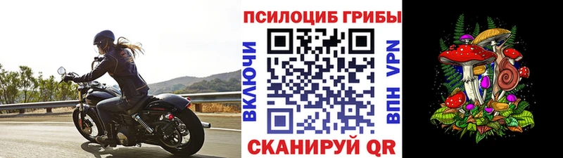 наркошоп  Корсаков  Галлюциногенные грибы Psilocybe 